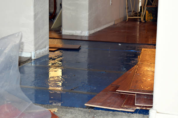Professional Burst Pipe Cleanup technician working in Courtland, MS